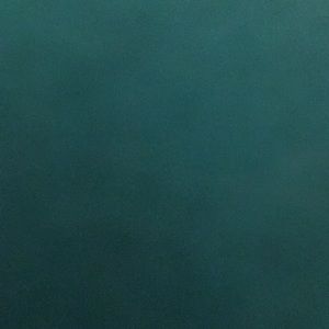 Meet your Posher, Mari